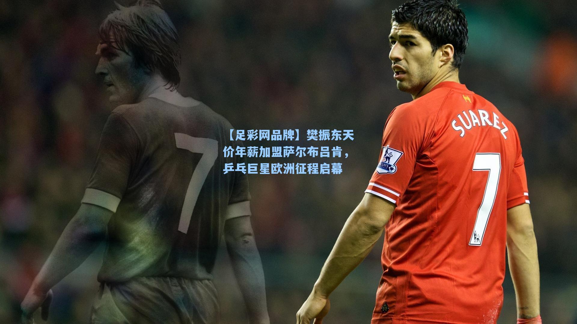 樊振东天价年薪加盟萨尔布吕肯,乒乓巨星欧洲征程启幕