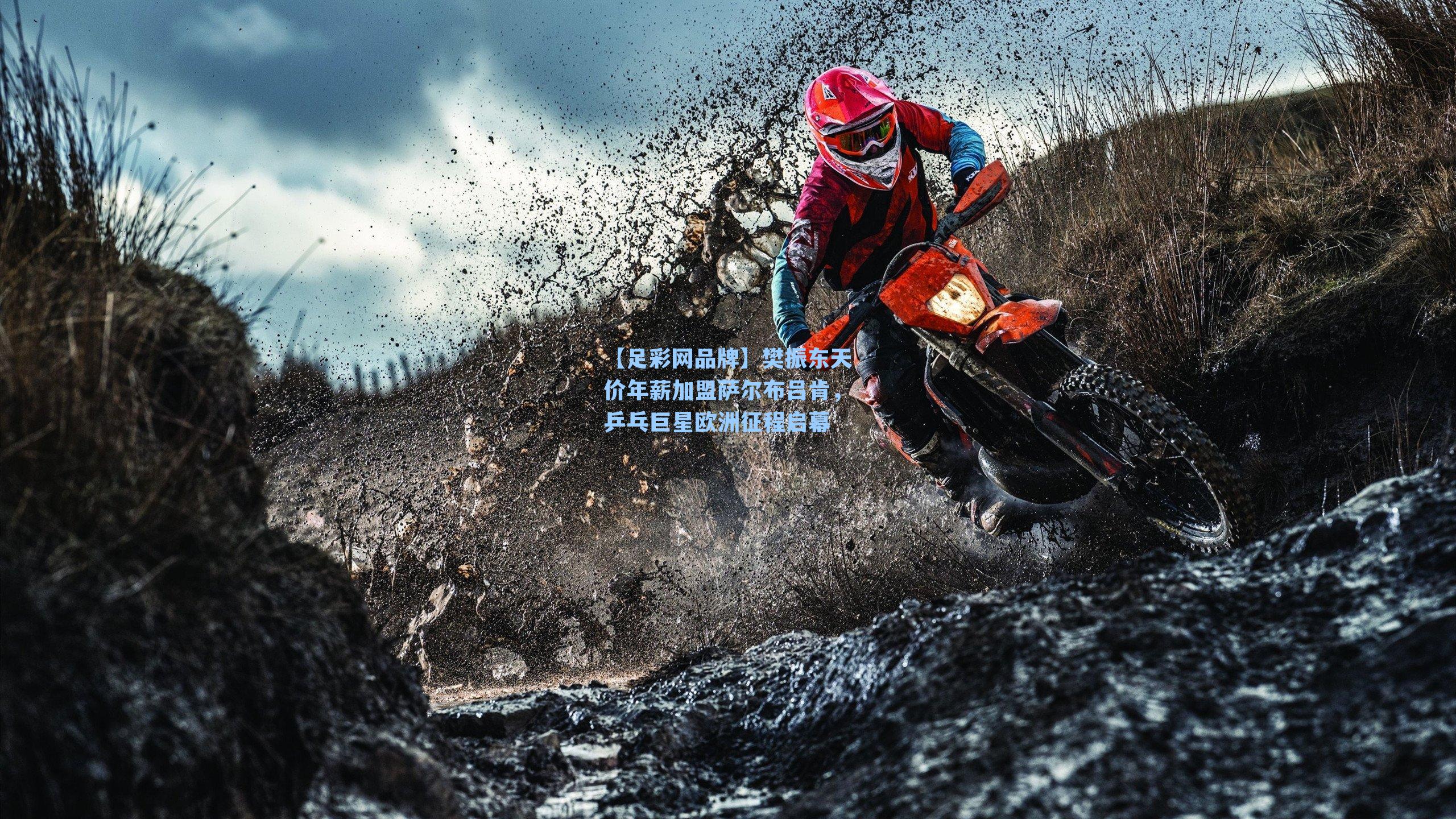 樊振东天价年薪加盟萨尔布吕肯,乒乓巨星欧洲征程启幕