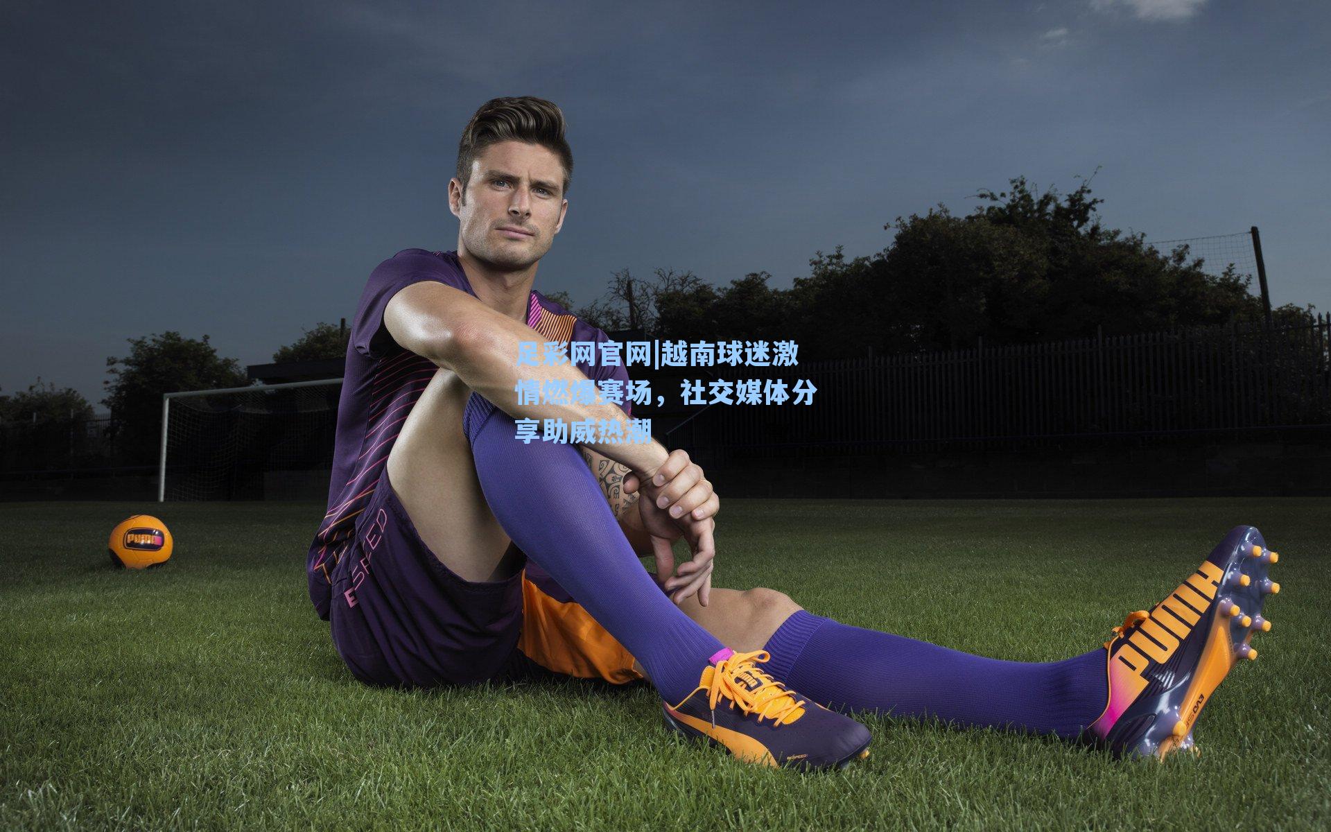 越南球迷激情燃爆赛场，社交媒体分享助威热潮